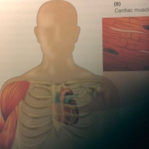 Meet your Posher, Raquel